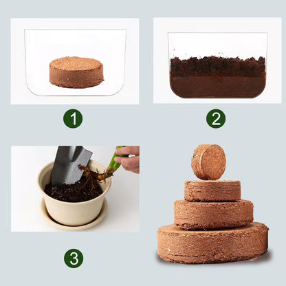 Rootiva™ GrowBrick