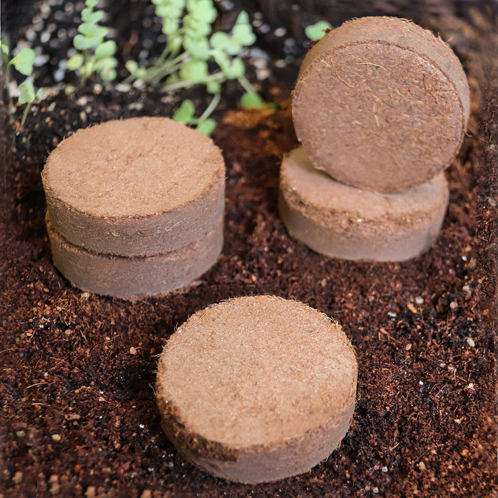 Rootiva™ GrowBrick