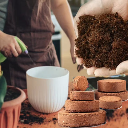 Rootiva™ GrowBrick